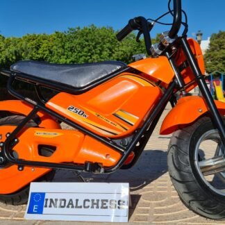VENTA MOTO ELECTRICA PARA NIÑOS 24V - 250W 24V ORANGE - PKT250DH-2OR